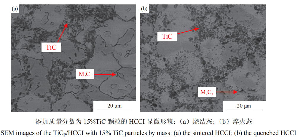 SEM images of the TiCP /HCCI